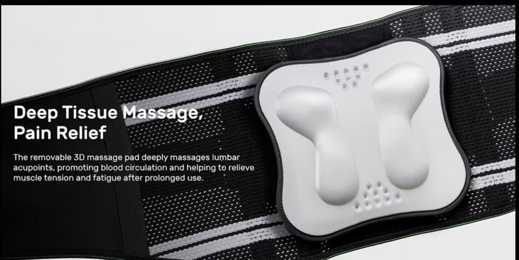 LenoraGo Lower Back support Belt